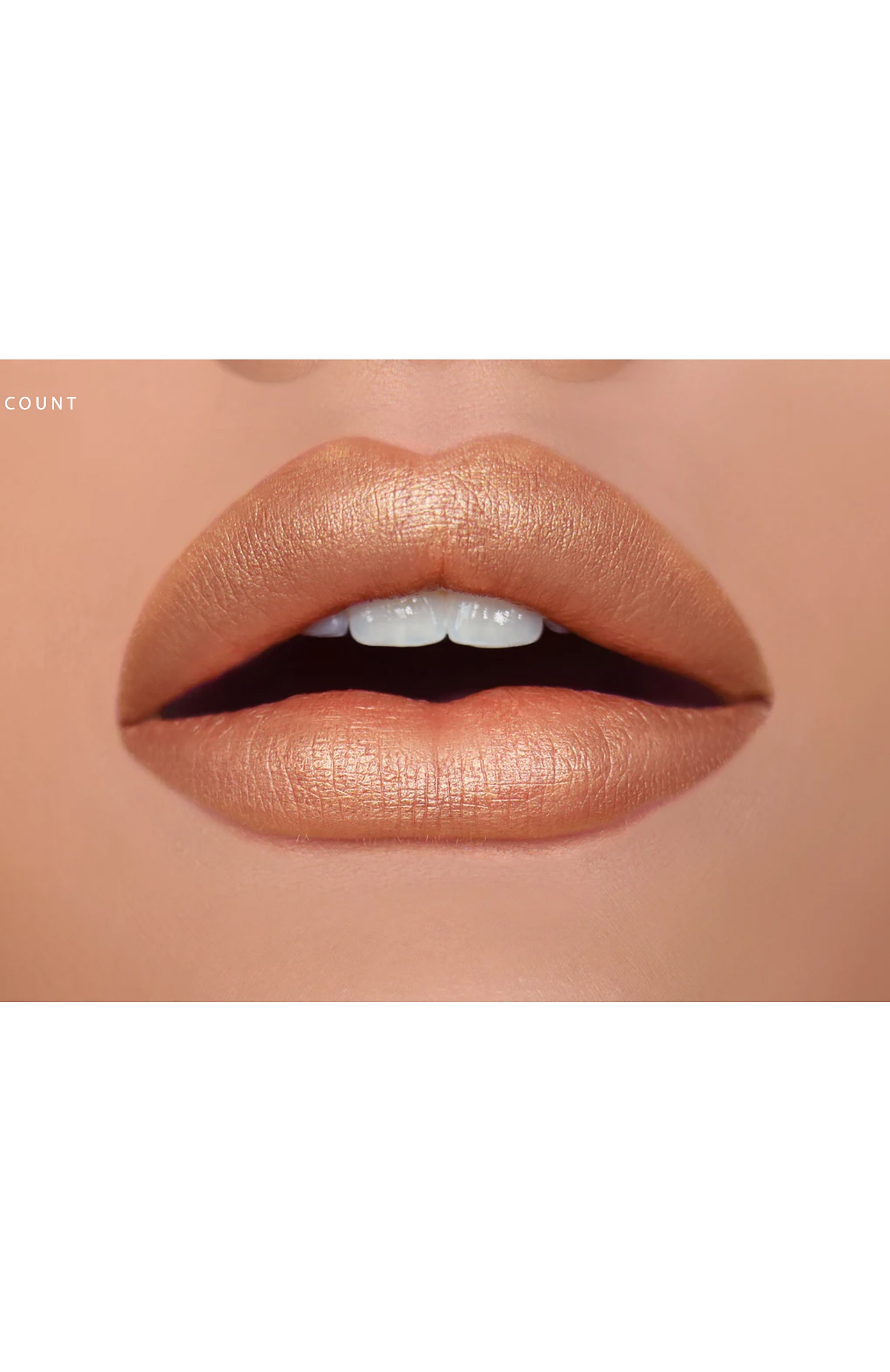 Рефил сатиновой губной помады, оттенок count (3g) HOUSE OF SILLAGE, арт. 810466022528, фото 2