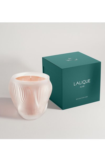 Све ча alize LALIQUE, арт. B15200, фото 2