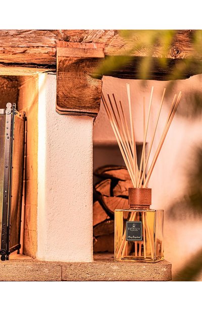 Диффузор spicy gingerbread (500ml) EUTHALIA FRAGRANCES, арт. 4603336951020, фото 3