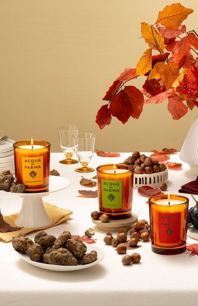 Парфюмированная свеча tartufo bianco (200g) ACQUA DI PARMA, арт. ADP082736, фото 5