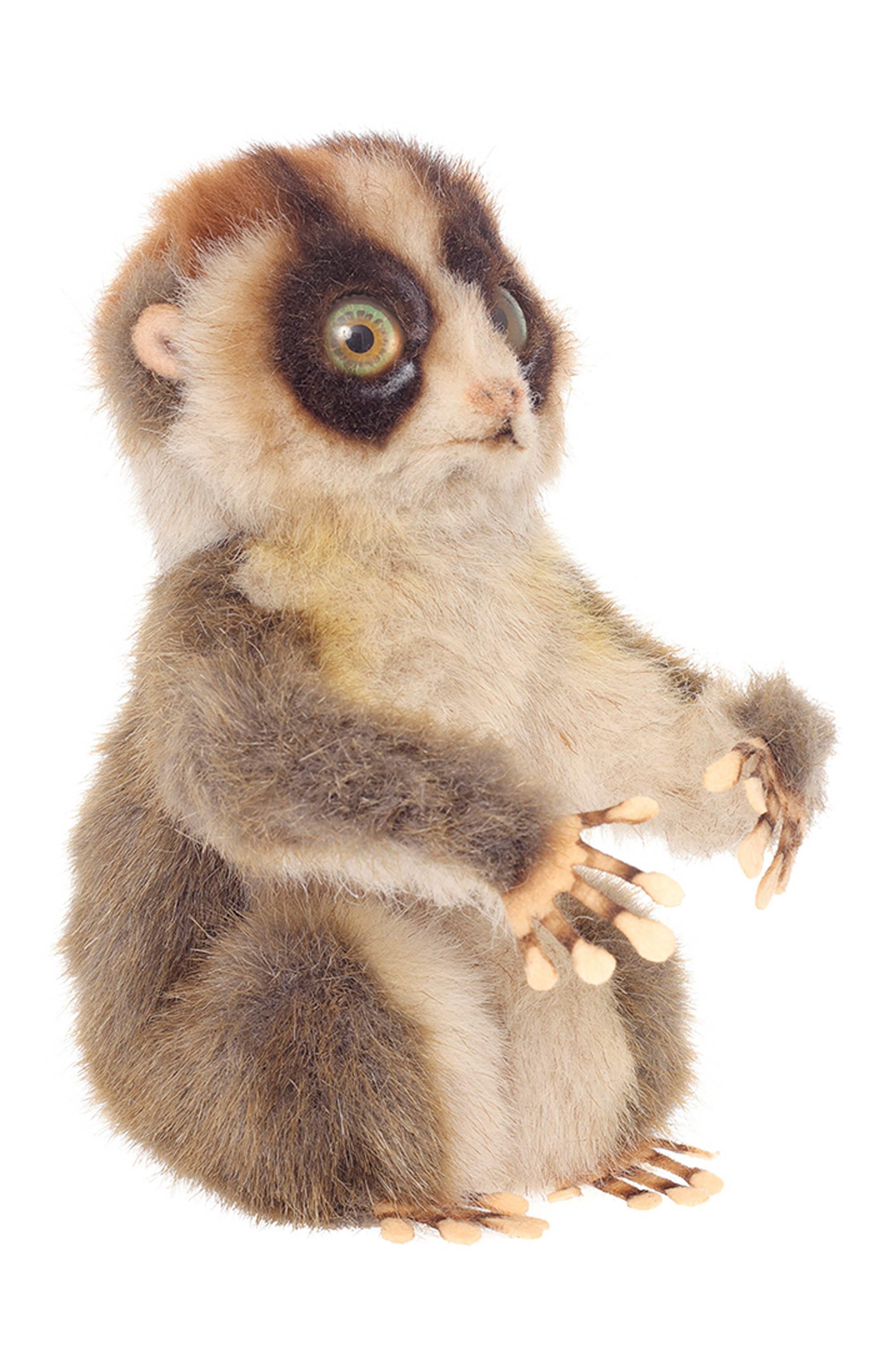 Мягкая игрушка медленный лори HANSA бежевого цвета по цене 4700 руб., арт. 7043, фото 4 Мягкая игрушка медленный лори HANSA, арт. 7043, фото 4