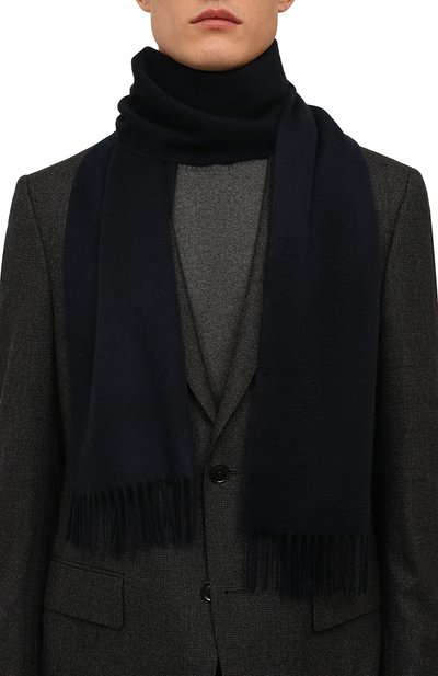 Кашемировый шарф VAN LAACK, арт. SVEN/Z10414, фото 2