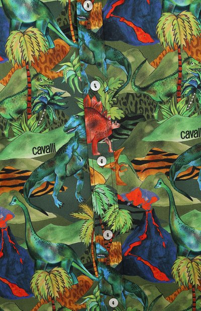 Хлопковая рубашка ROBERTO CAVALLI, арт. QJT706/4FF60/12A-14A, фото 3