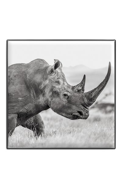 Тени для век luminescent eye shade, оттенок rhinoceros CHANTECAILLE, арт. 656509172078, фото 2