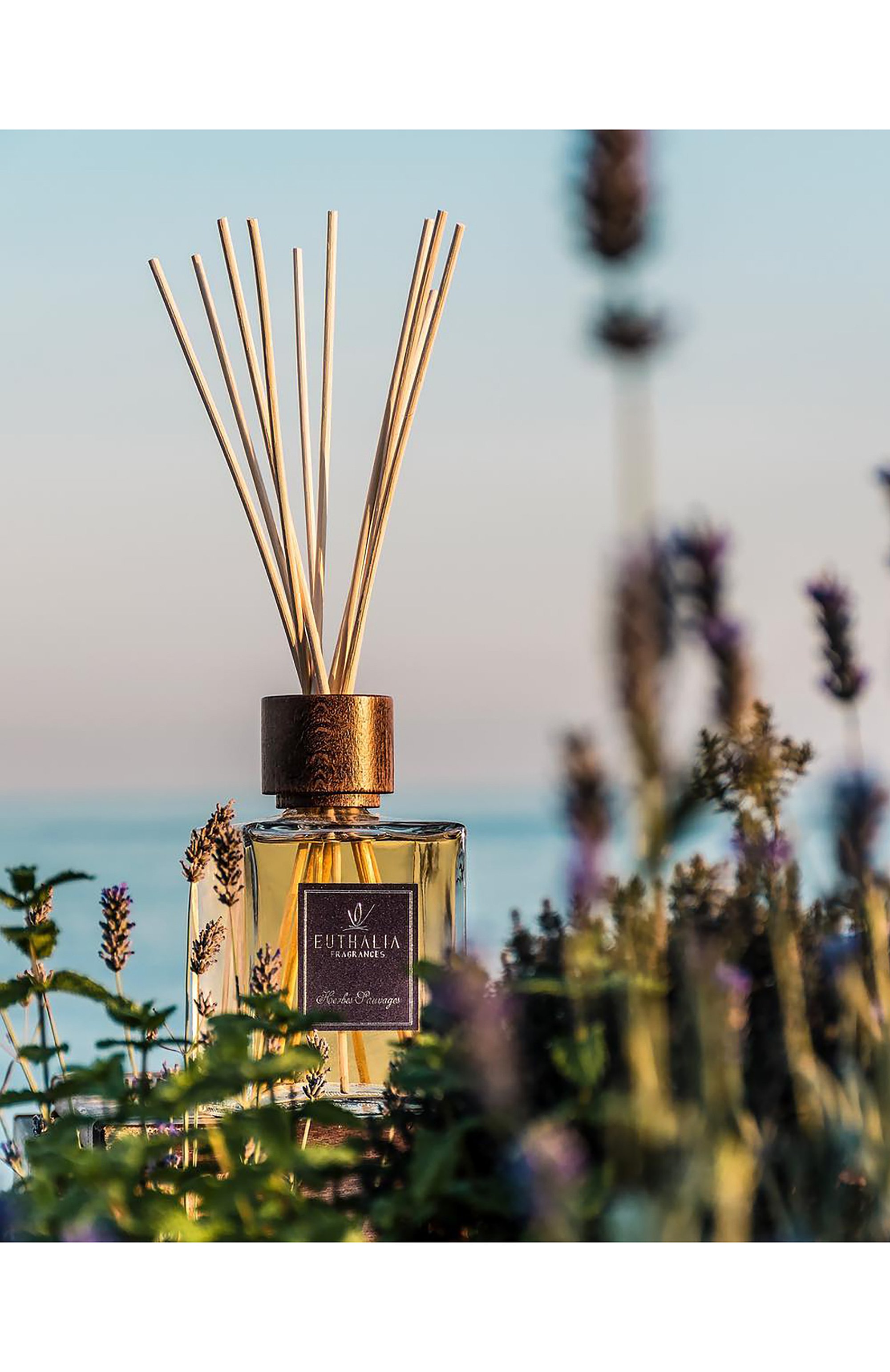 Диффузор herbes sauvages (500ml) EUTHALIA FRAGRANCES, арт. 4603336950948, фото 4