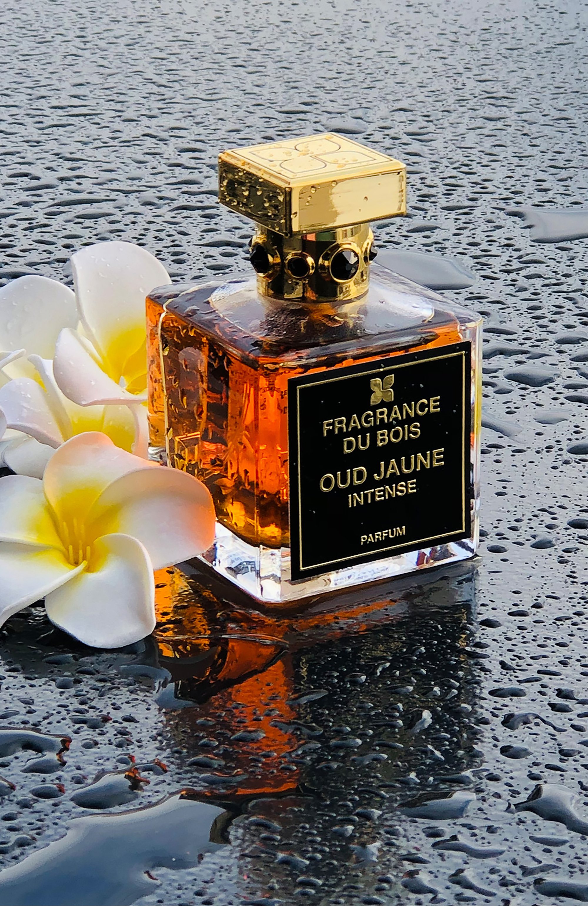 Парфюмерная вода oud jaune intense (100ml) FRAGRANCE DU BOIS, арт. 5081304301012, фото 2