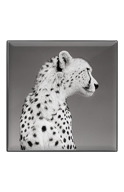 Тени для век luminescent eye shade, оттенок cheetah CHANTECAILLE, арт. 656509172023, фото 2