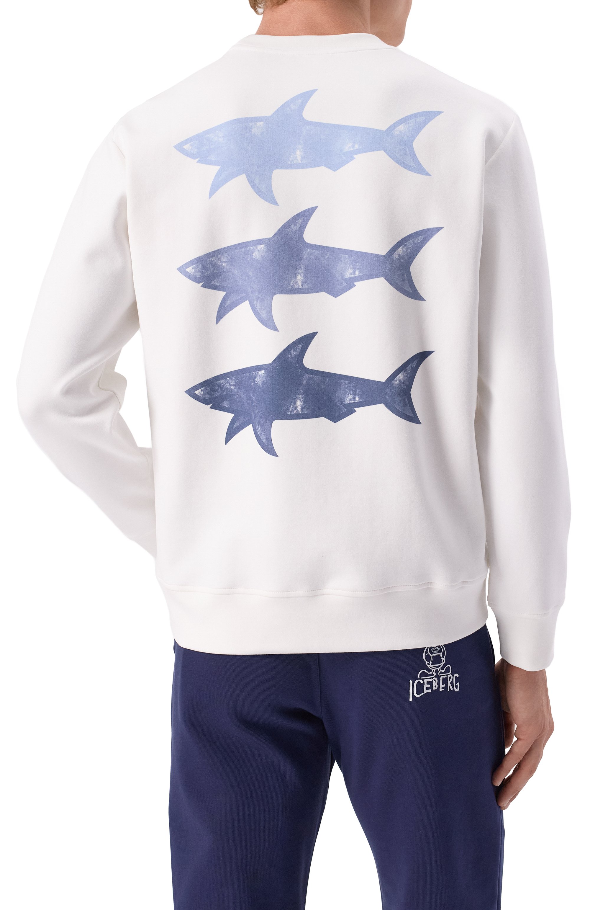 Хлопковый свитшот PAUL&SHARK, арт. 25411855/L, фото 4