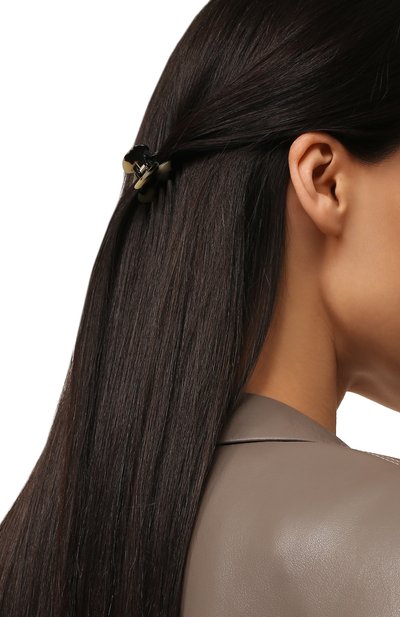 Заколка для волос  ALEXANDRE DE PARIS, арт. ACCB-2849 G, фото 2