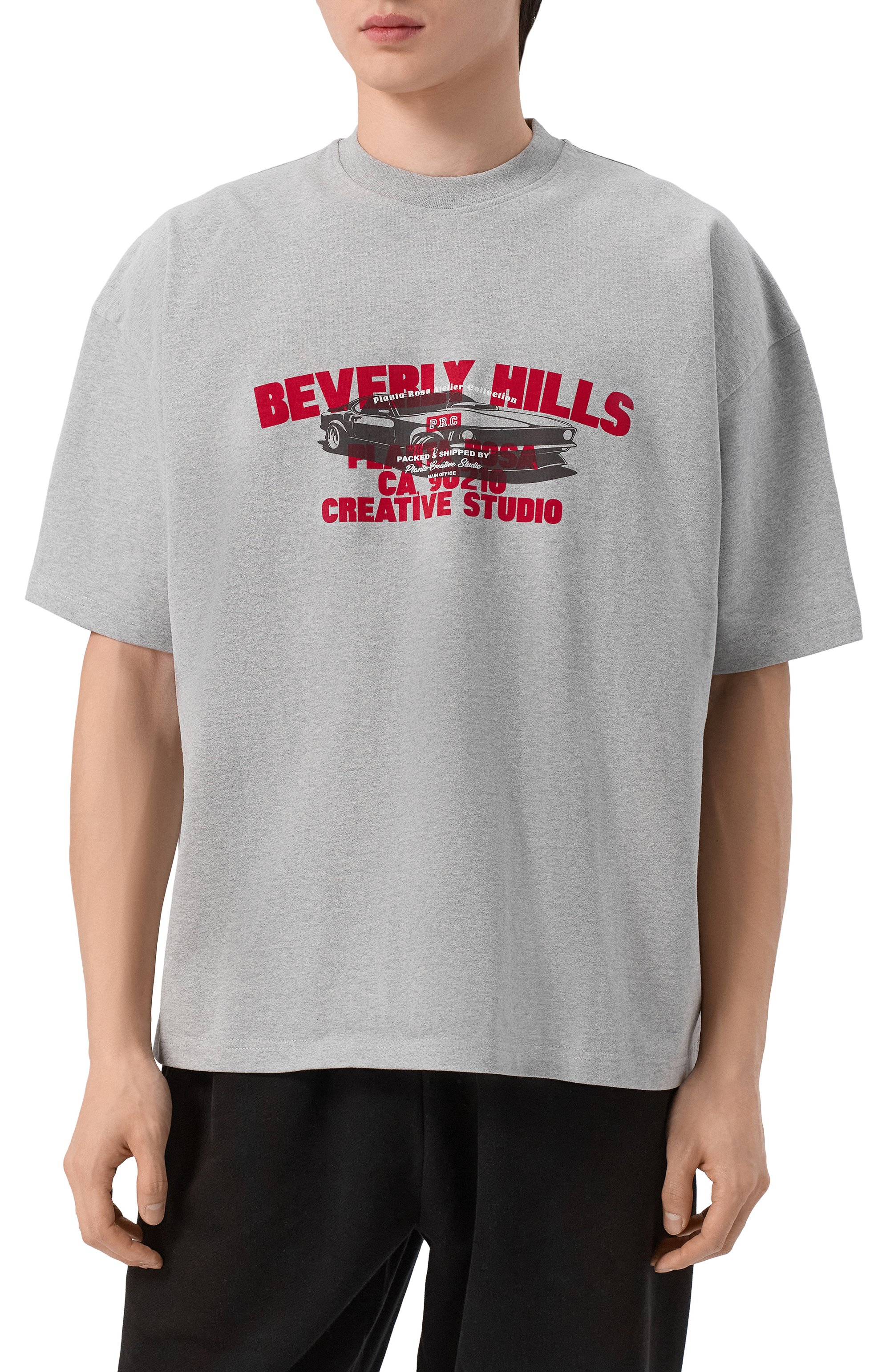 Хлопковая футболка PLANTA ROSA, ар т. PR/T02/BEVERLY-MOMENTUM/300VELVET, фото 3