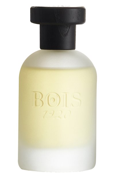 Мужской парфюмерная вода classic paradise (100ml) BOIS 1920, арт. 8055277281944