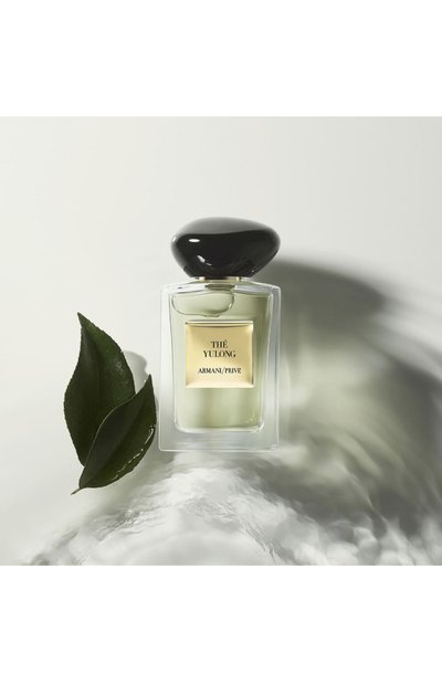 Туалетная вода thé yulong (100ml) GIORGIO ARMANI, арт. 3614272650954, фото 3