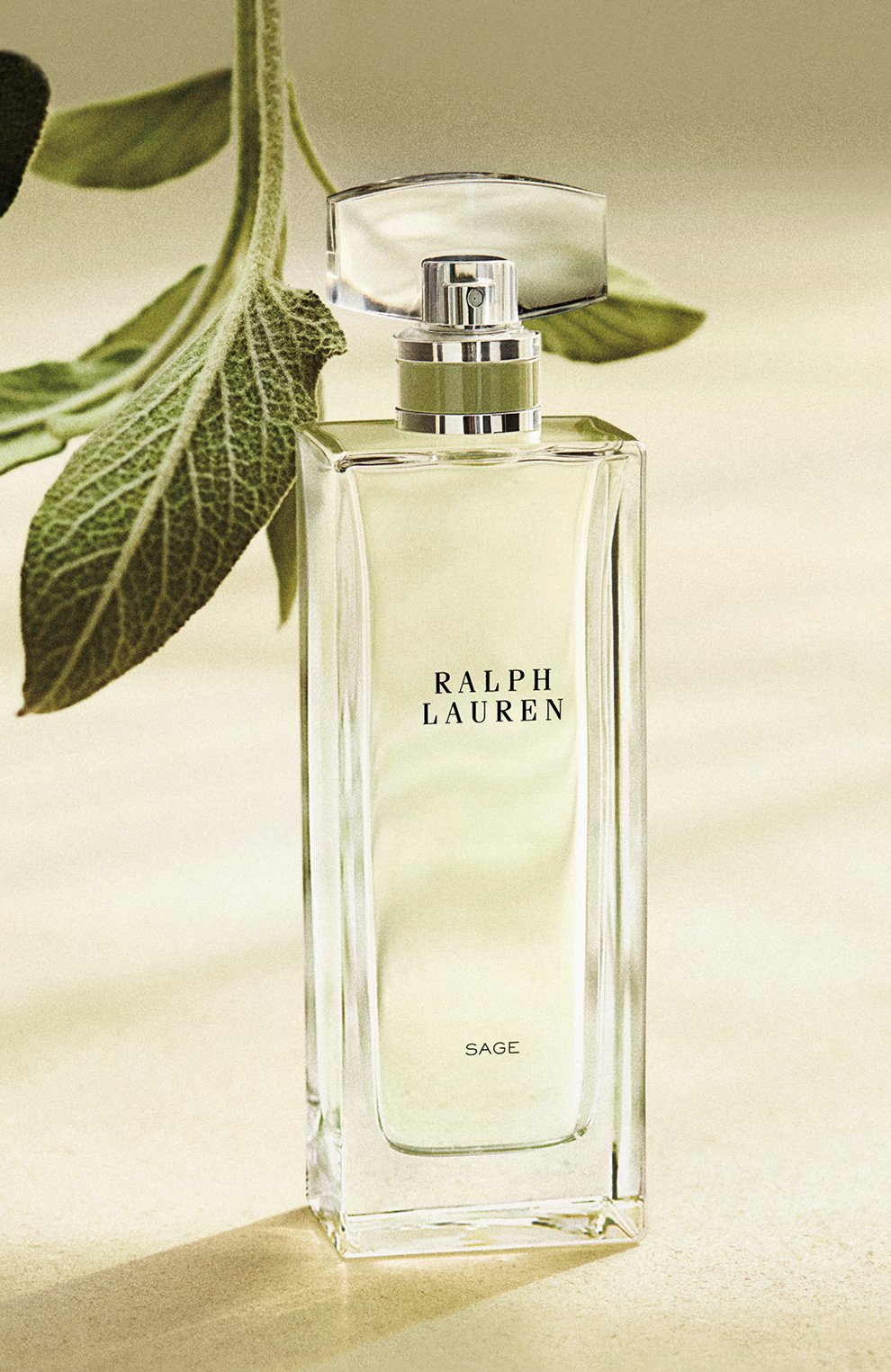 Парфюмерная вода collection sage (50ml) RALPH LAUREN, арт. 3605970596927, фото 2