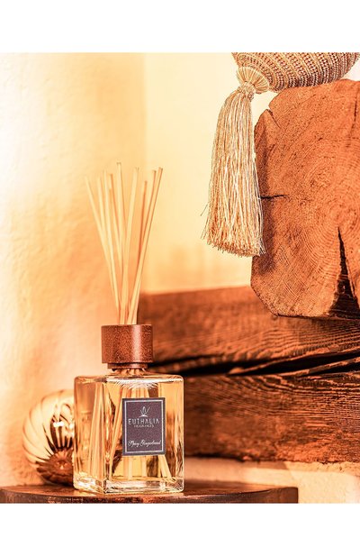Диффузор spicy gingerbread (100ml) EUTHALIA FRAGRANCES, арт. 4603336950184, фото 3