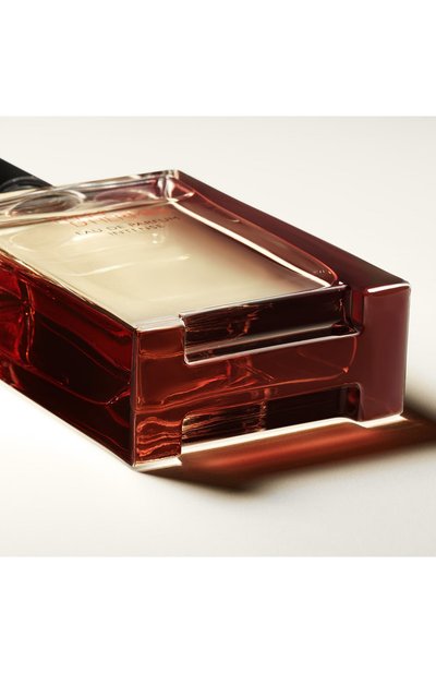 Парфюмерная вода terre d`hermes eau de parfum intense (100ml) HERMÈS, арт. 3346130424116, фото 4