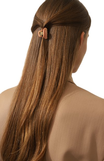 Заколка для волос ALEXANDRE DE PARIS, арт. ICCB-12831-02P23 OS, фото 2