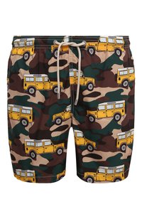 Разноцветный