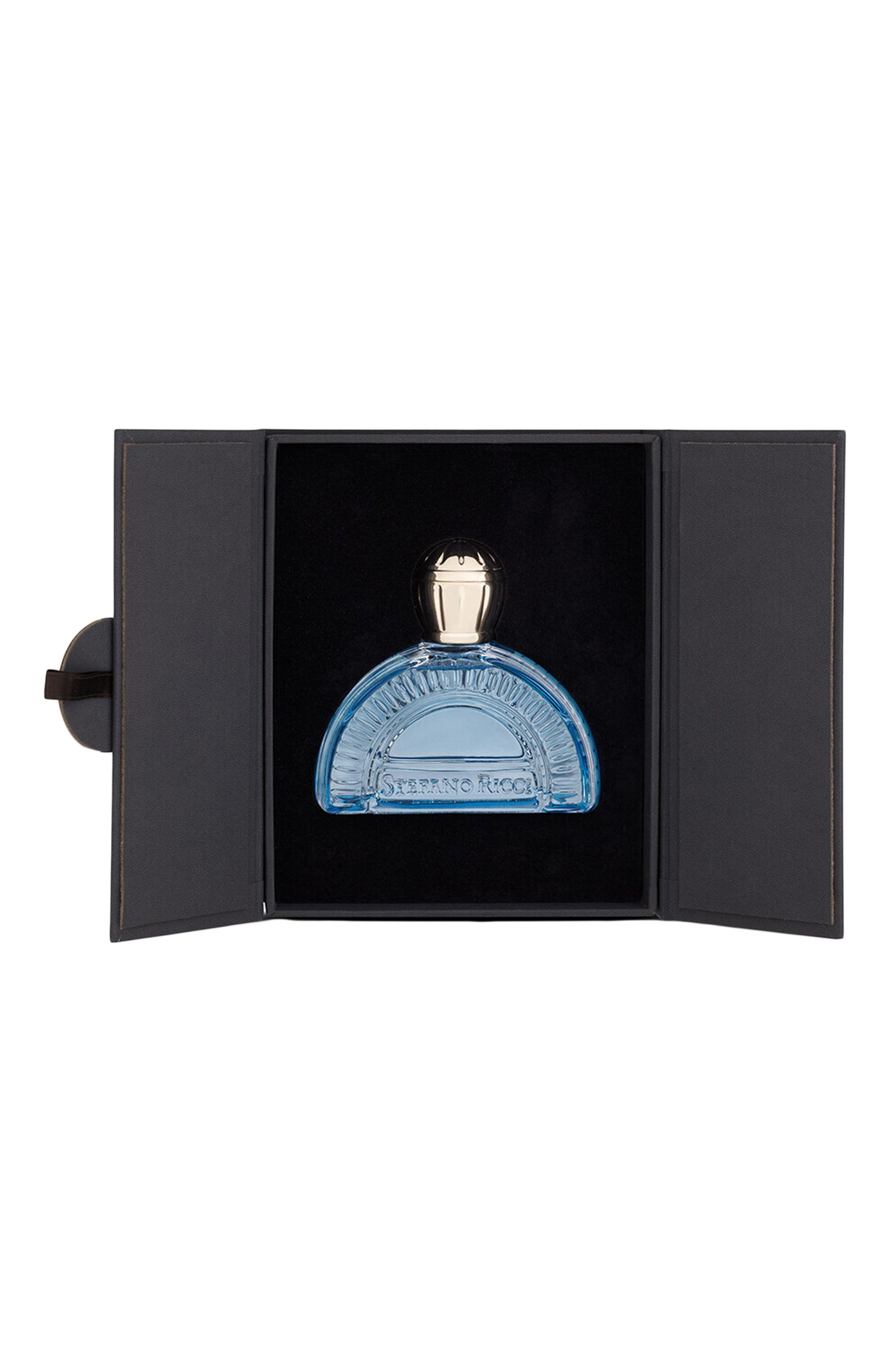 Парфюмерная вода blue classic (100ml) STEFANO RICCI, арт. PM100BC, фото 2