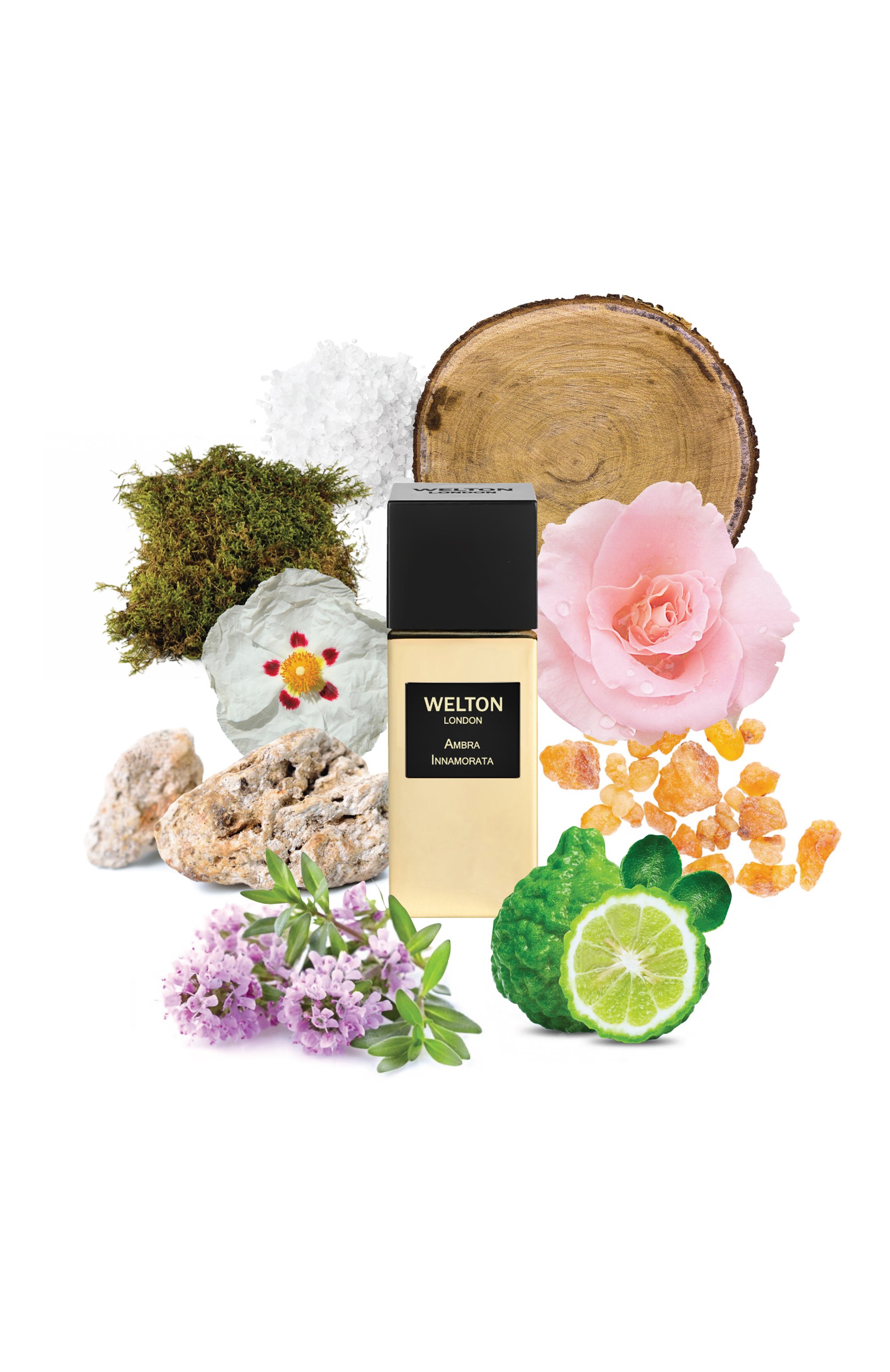 Духи ambra innamorata (50ml) WELTON LONDON бесцветного цвета по цене 26000 руб., арт. 5055404703120, фото 3 Духи ambra innamorata (50ml) WELTON LONDON, арт. 5055404703120, фото 3