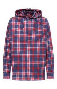 Разноцветный