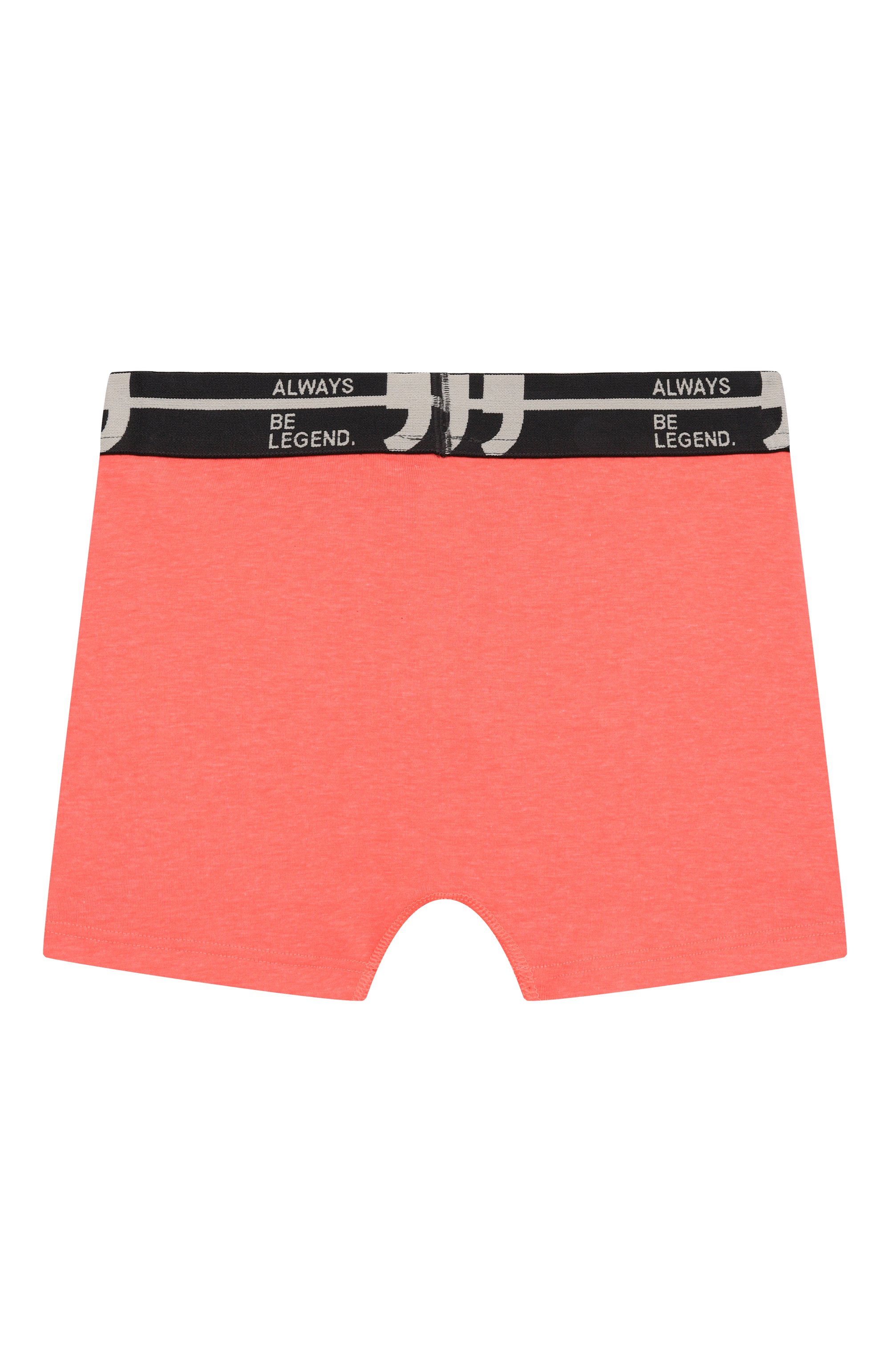 Комплект из двух боксеров SANETTA, арт. 349274, фото 5