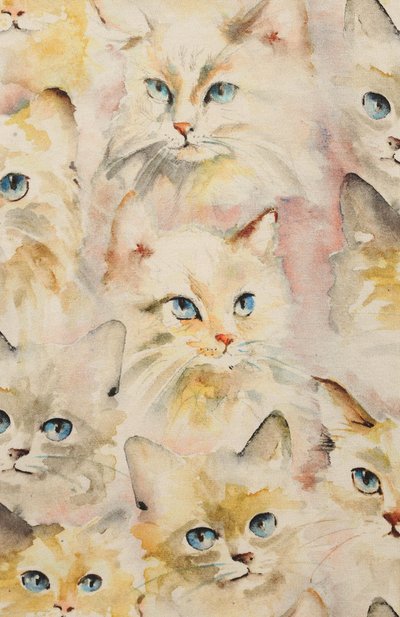 Хлопковый топ MOLO, арт. 4W24A402, фото 3