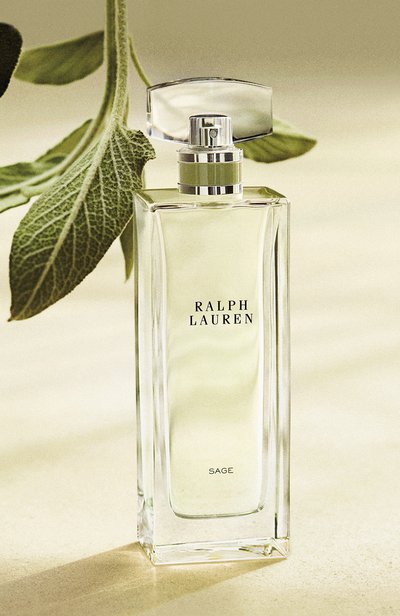 Парфюмерная вода collection sage (100ml) RALPH LAUREN, арт. 3605970596088, фото 2