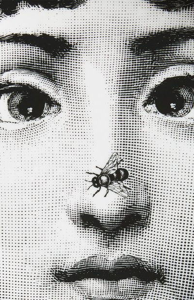 Декоративная тарелка tema e variazioni n.363 FORNASETTI, арт. PTV363X, фото 3
