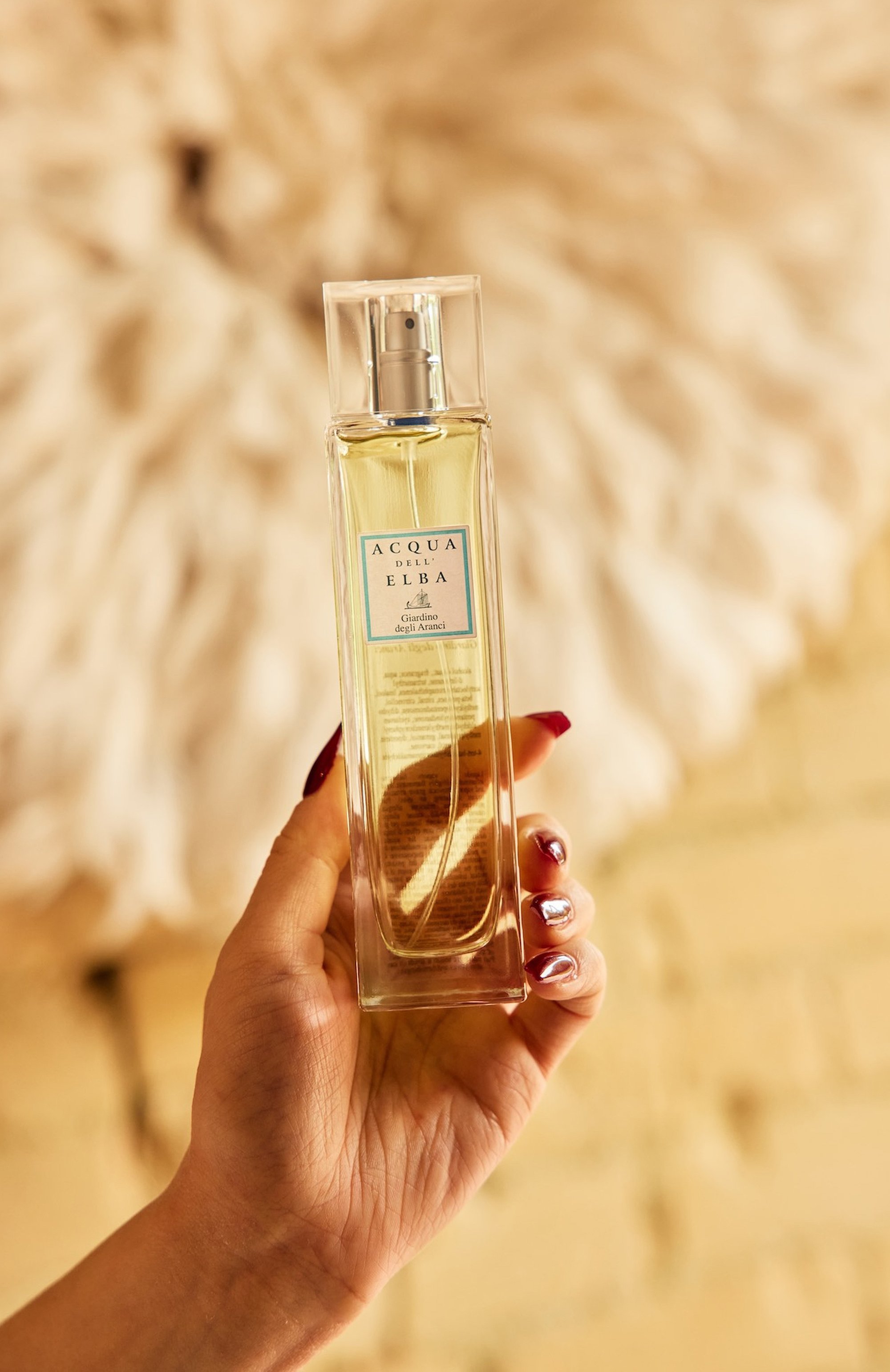 Спрей для дома giardino degli aranci (100ml) ACQUA DELL ELBA, арт. 8032758531378, фото 2