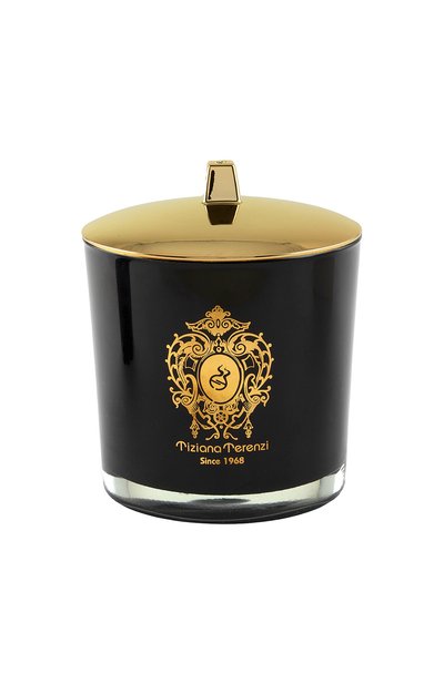 Свеча foco с ароматом миндаля и ванили (500g) TIZIANA TERENZI, арт. 8016741792205