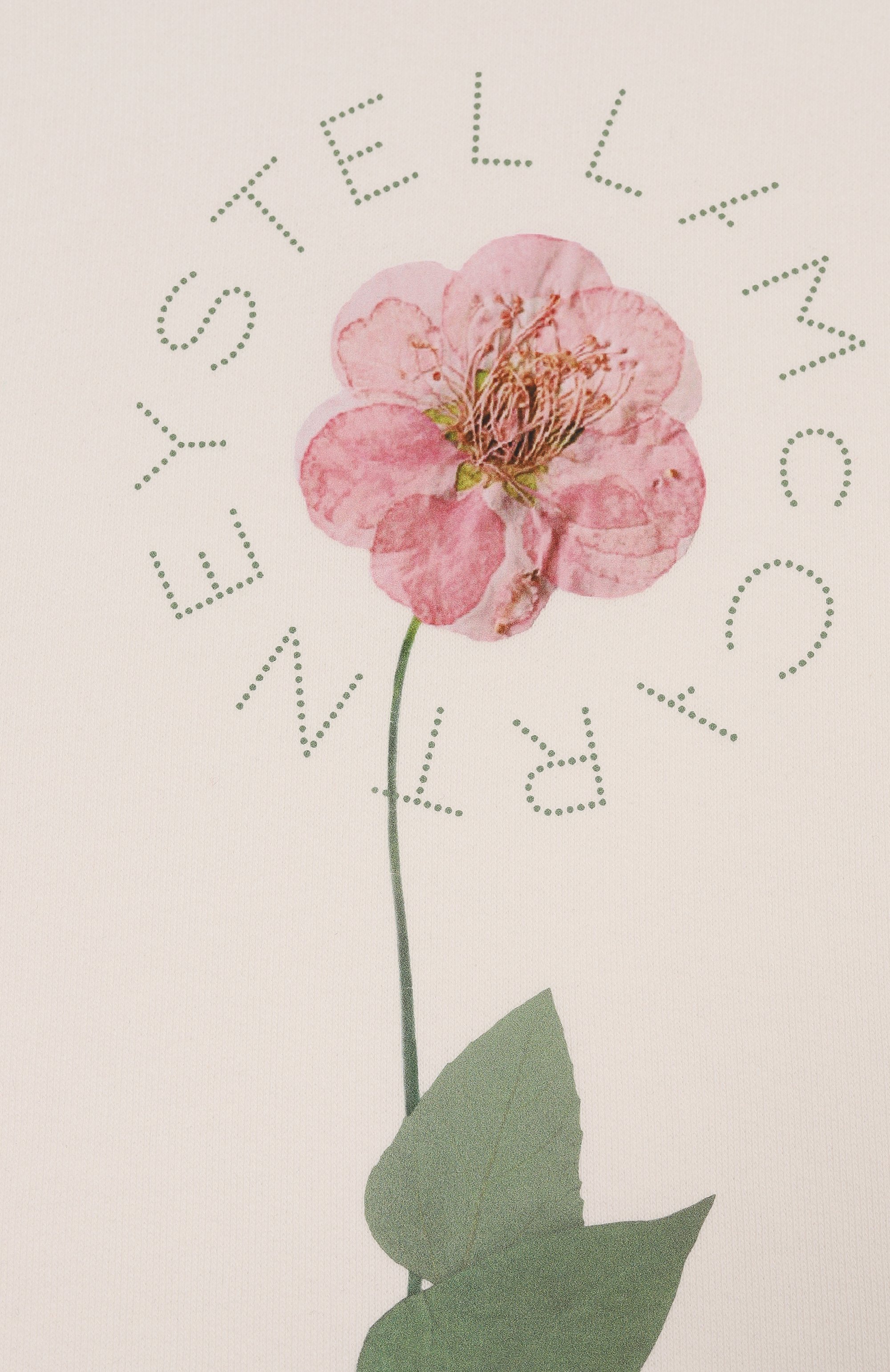 Хлопковый свитшот STELLA MCCARTNEY, арт. TW4B80, фото 3