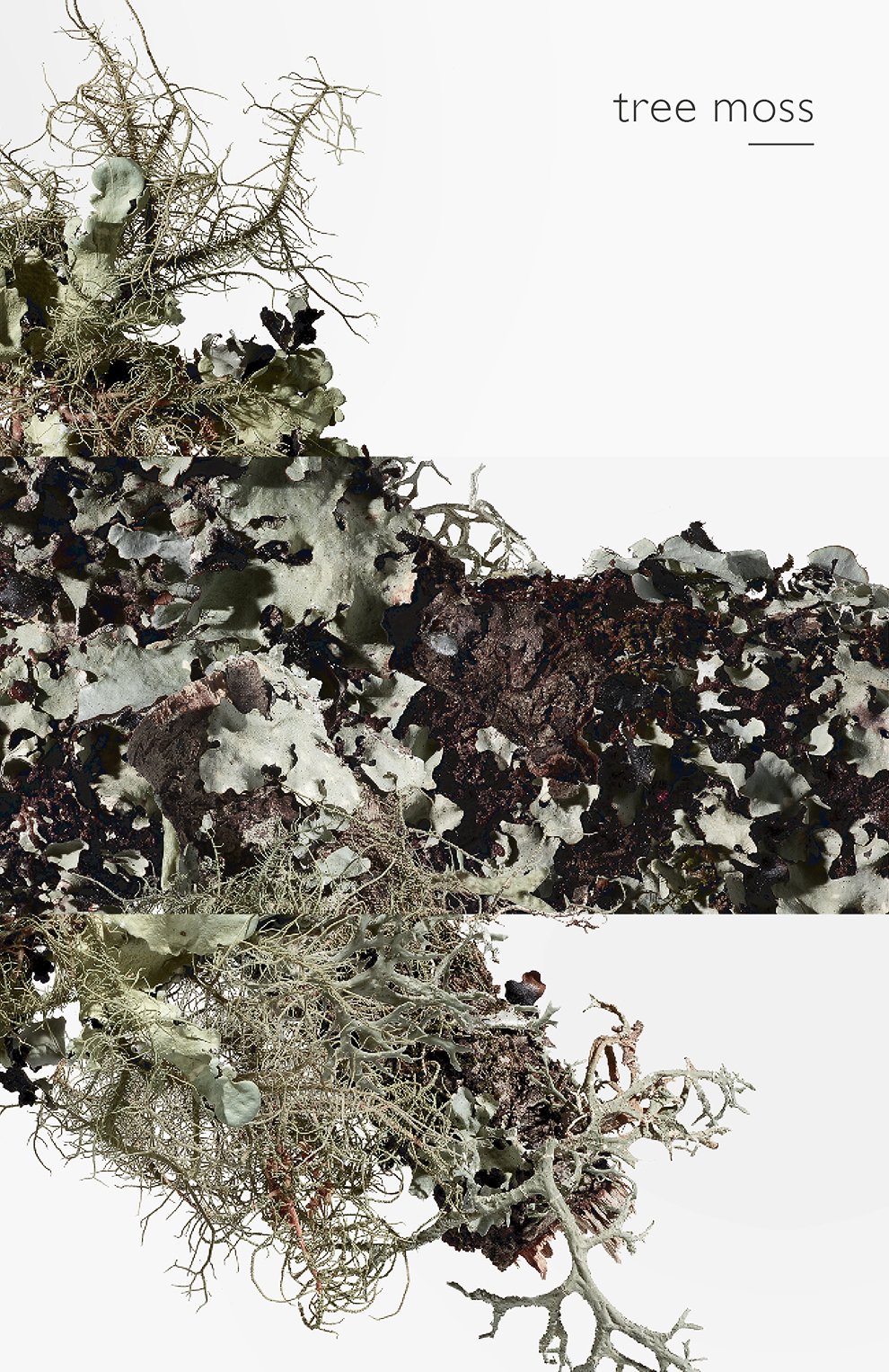 Одеколон eau d'orange verte (100ml) HERMÈS, арт. 38302H, фото 6