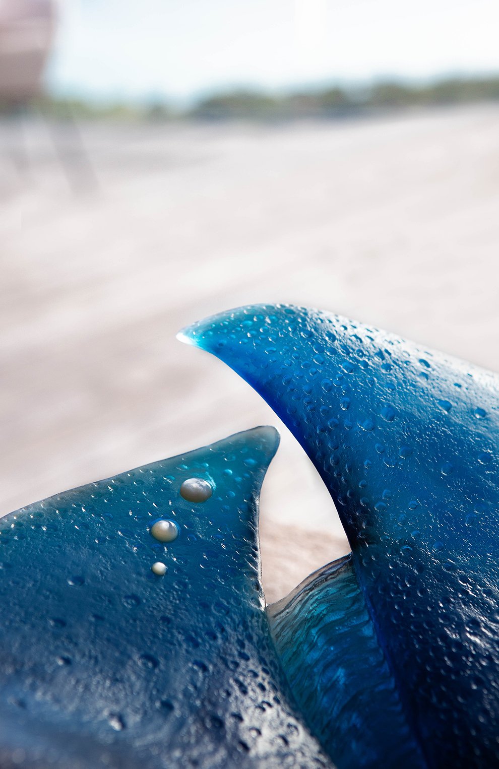 Блюдо для центра стола maya DAUM, арт. 05813, фото 4