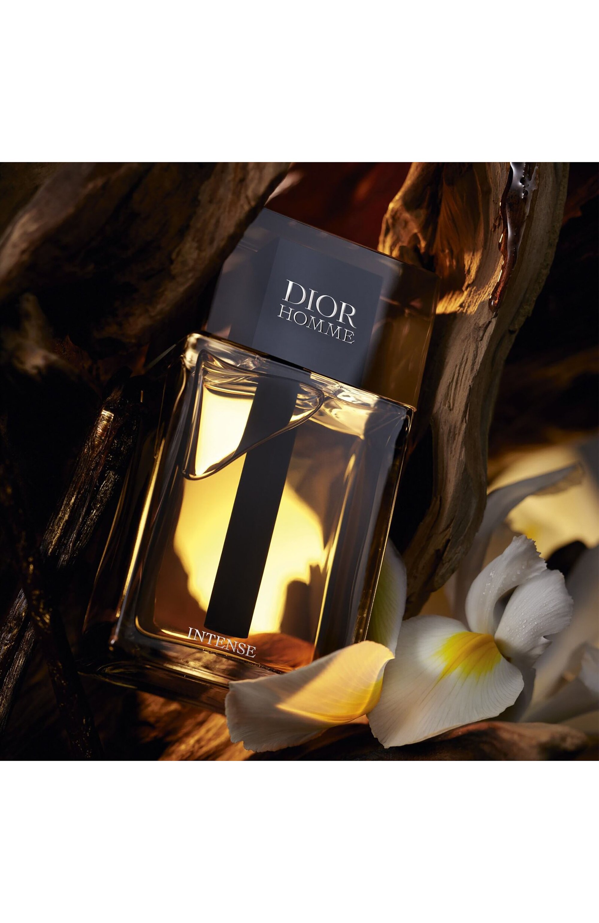 Парфюмерная вода dior homme intense (50ml) DIOR, арт. F047922709, фото 3