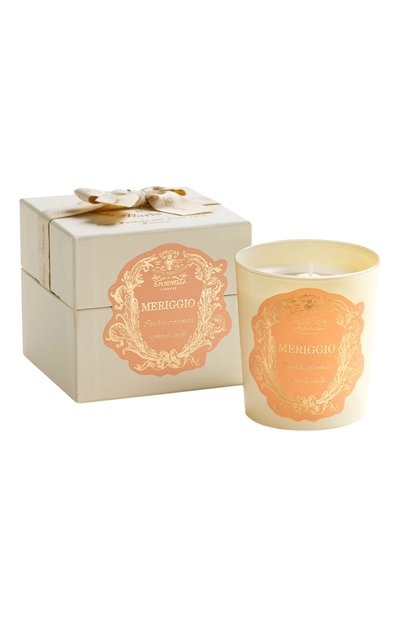 Ароматизированная свеча meriggio (250g) SANTA MARIA NOVELLA, арт. SMN3466902, фото 2