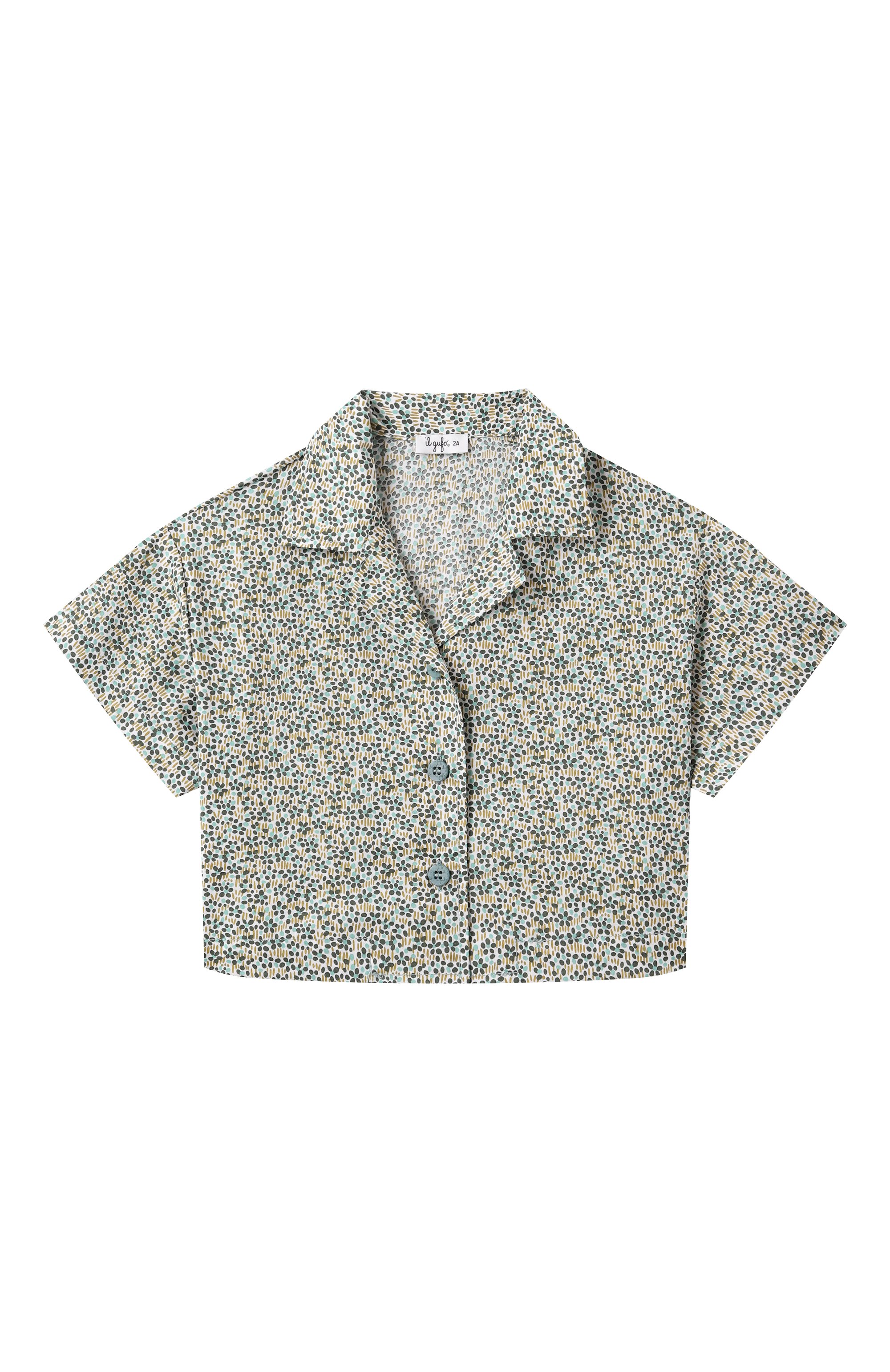 Комплект из рубашки и шорт IL GUFO, арт. P25DP489C4139/5A-8A, фото 2