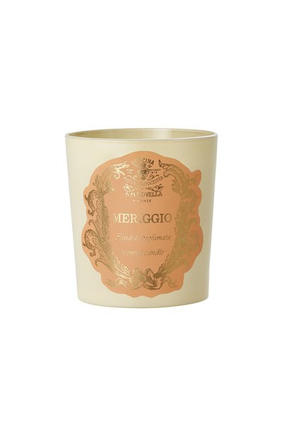 Ароматизированная свеча meriggio (250g) SANTA MARIA NOVELLA, арт. SMN3466902