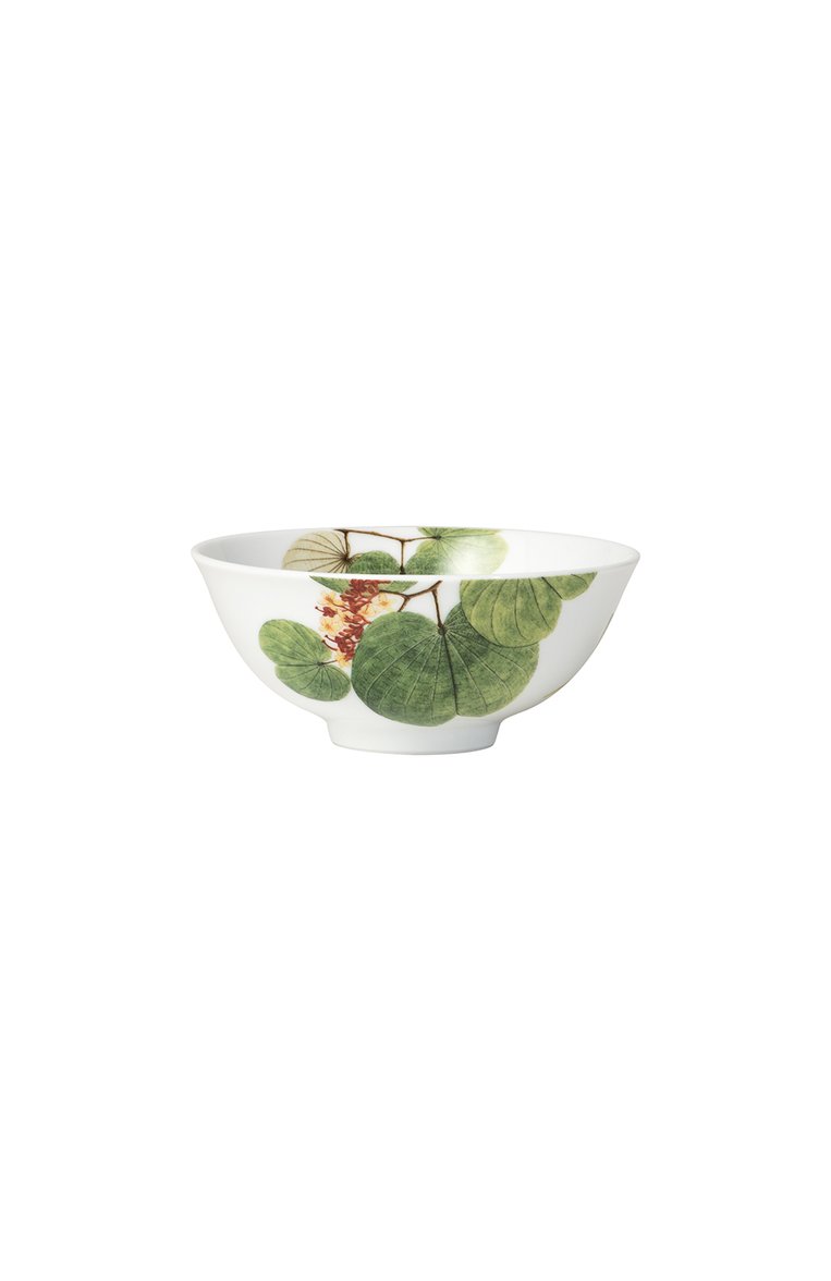 Пиала для риса jardin indien BERNARDAUD разноцветного цвета, арт. 0488/1302 | Фото 1 (Нос: Не проставлено; Региональные ограничения белый список (Axapta Mercury): Не проставлено; Интерьер Кросс-КТ: Обеденная посуда; Коллекция: Jardin Indien; Ограничения доставки: fragile-2)
