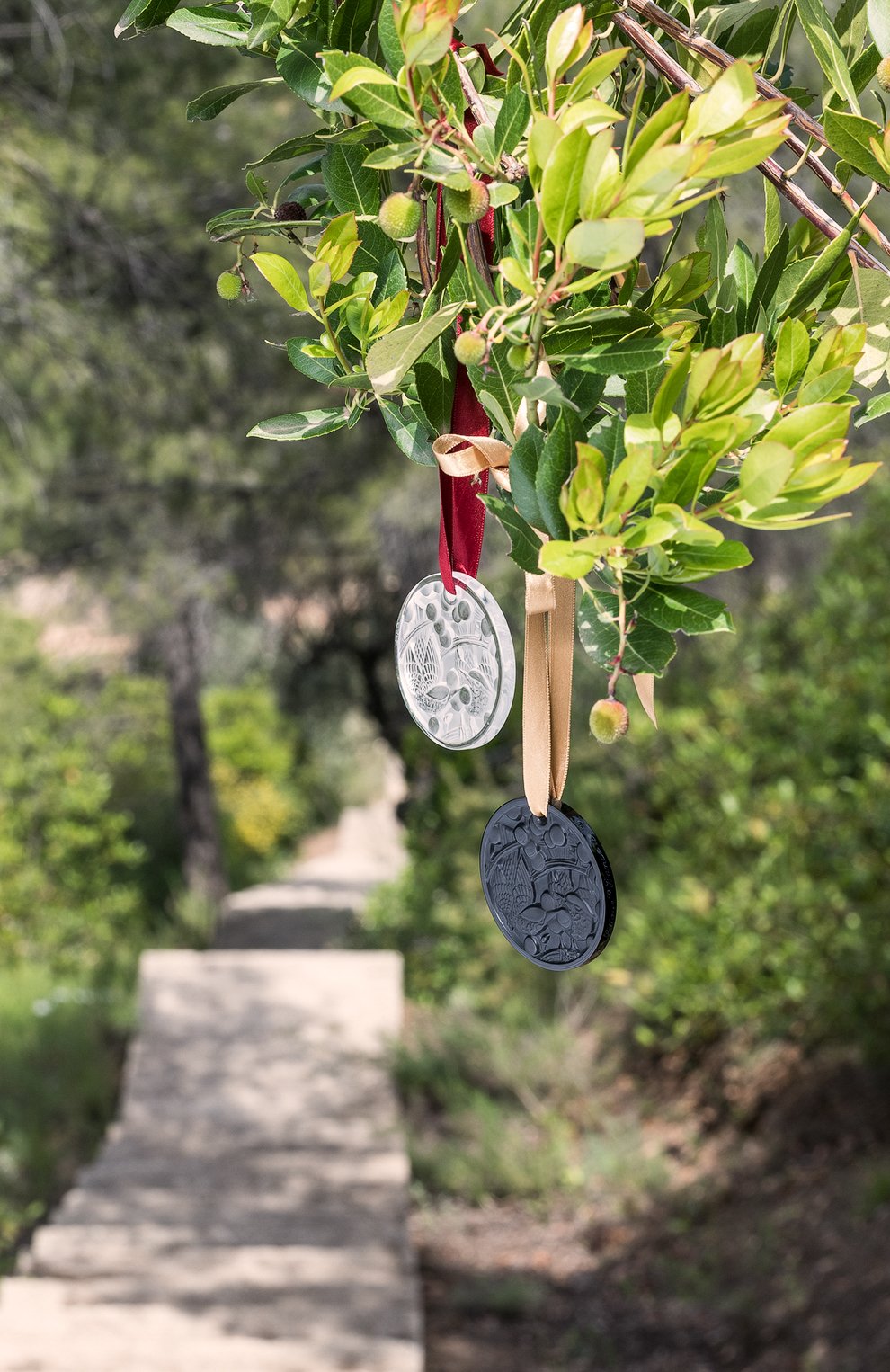 Новогоднее украшение merles & raisins LALIQUE, арт. 10746700, фото 2