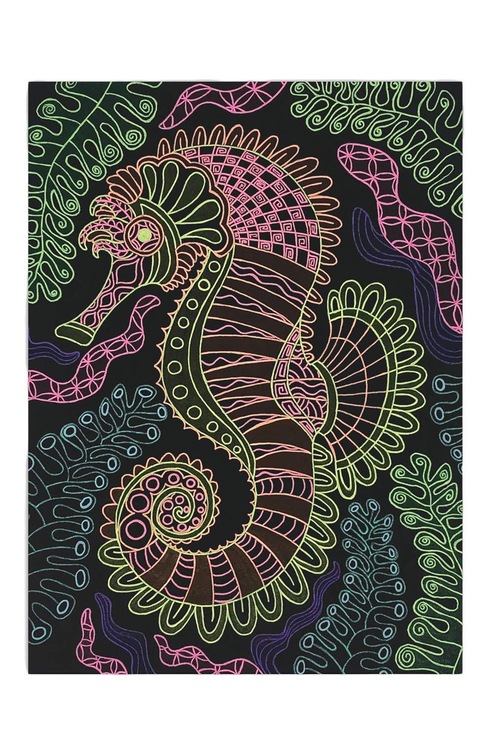 Раскраска coralia PAREMO, арт. 11111_NSDA, фото 4