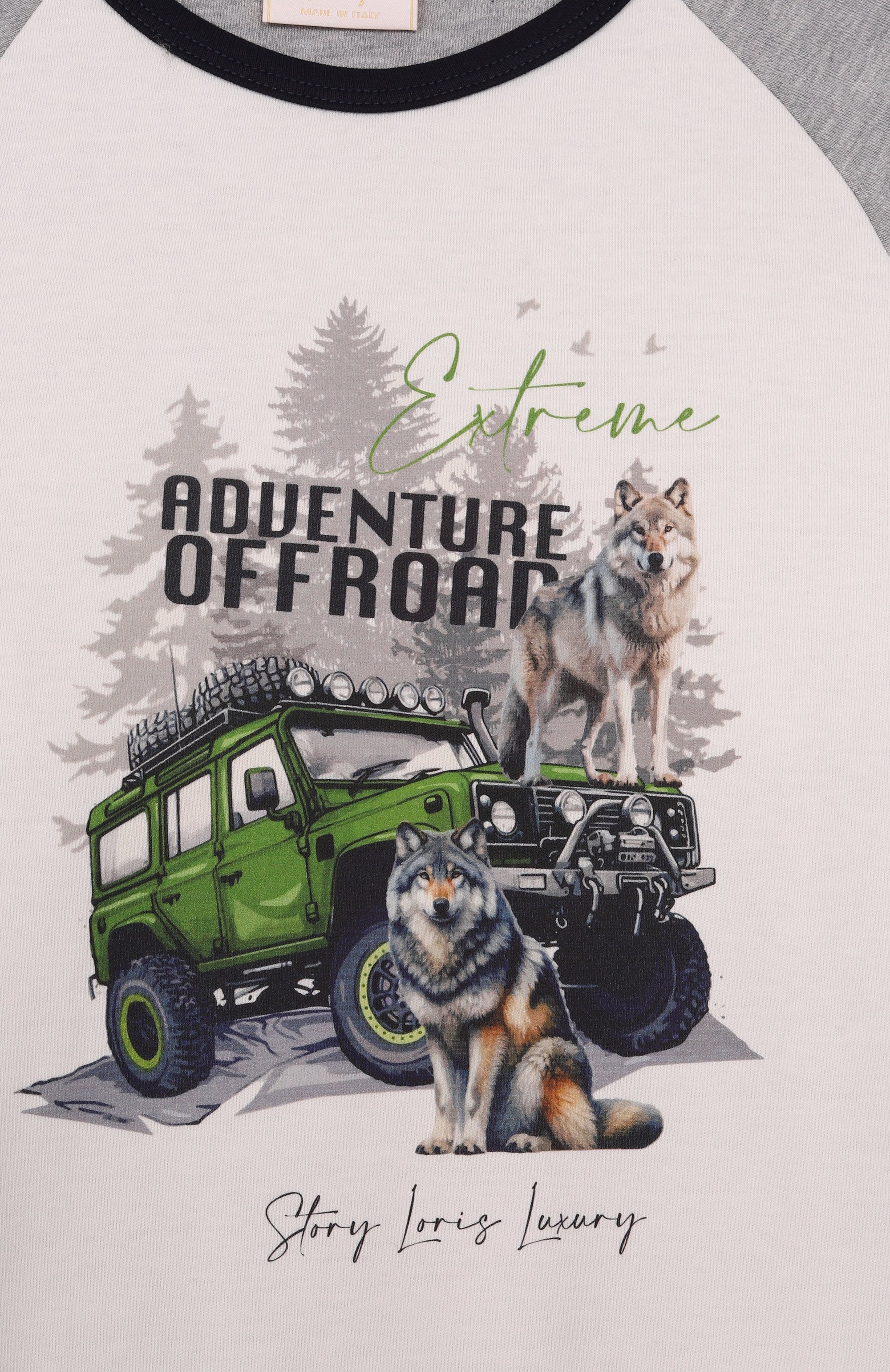 Хлопковая пижама STORY LORIS, арт. 35502/8-16, фото 6