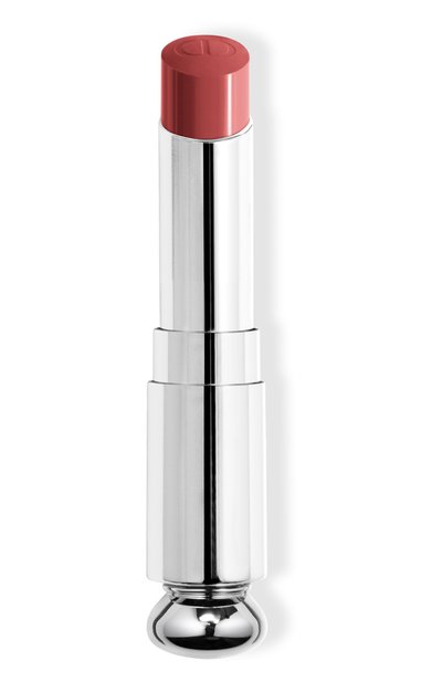 Женская рефил помады для губ dior addict lipstick, оттенок 558 розовое дерево (3.2g) DIOR, арт. C329100558