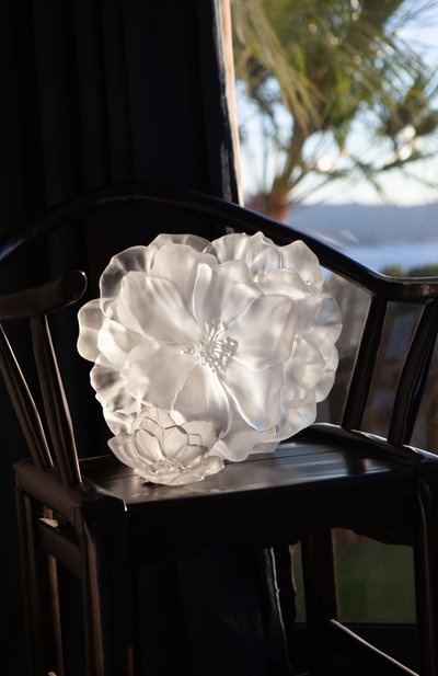 Ваза для фруктов camelia DAUM, арт. 05730-2, фото 3