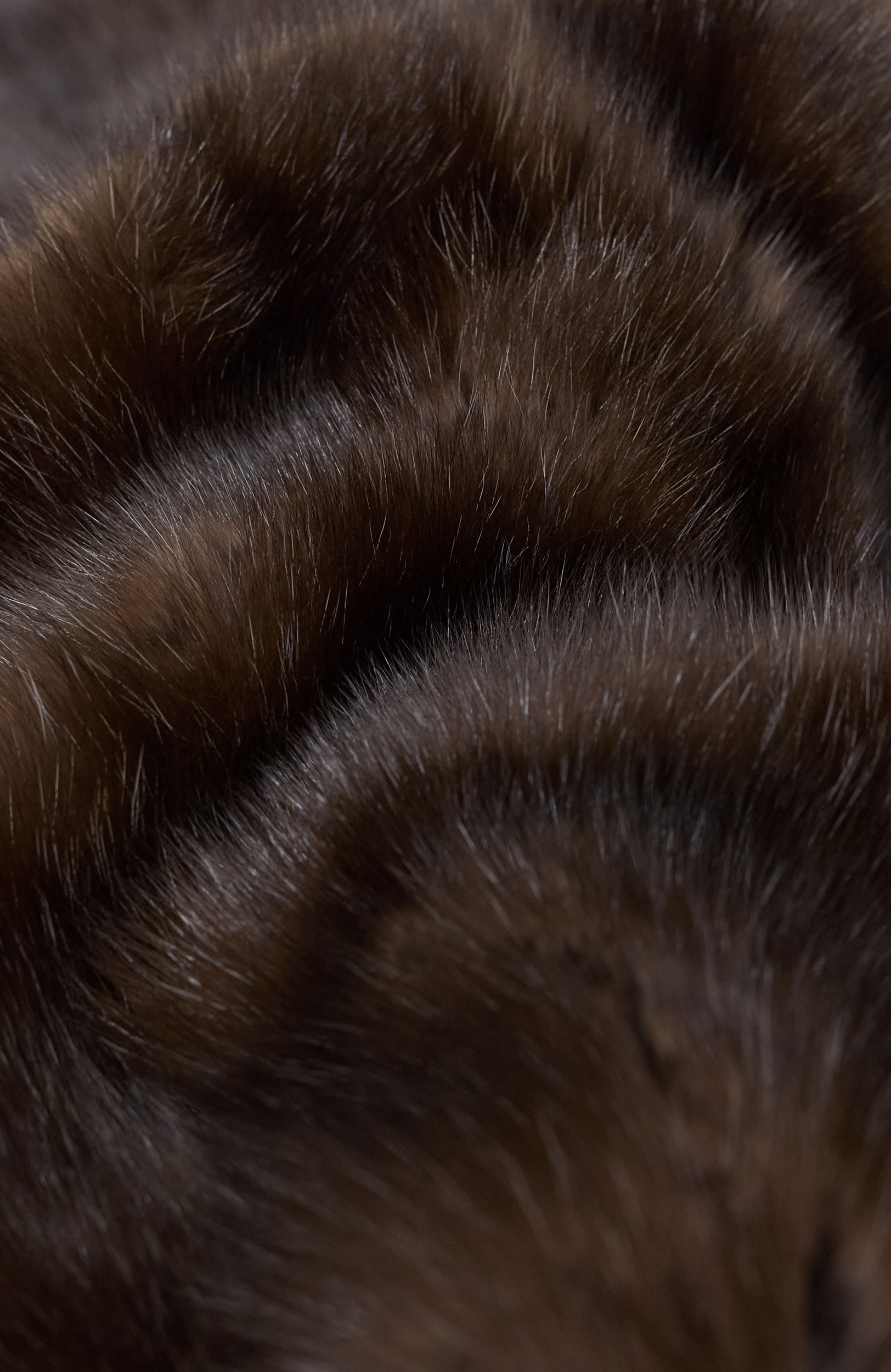 Меховой шарф из соболя MVST, арт. MSC-02 WILD SABLE SIL 3, фото 3