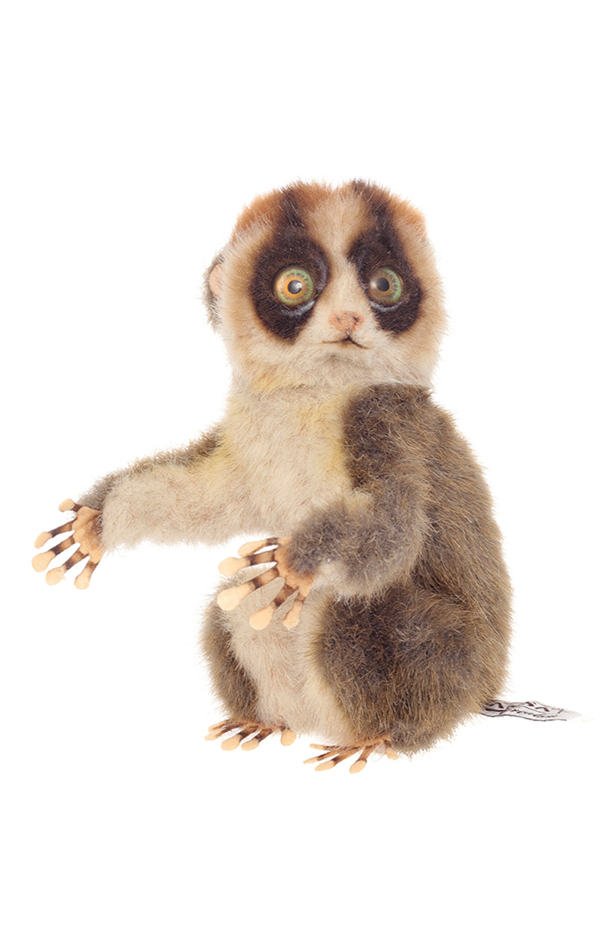 Мягкая игрушка медленный лори HANSA бежевого цвета по цене 4700 руб., арт. 7043, фото 2 Мягкая игрушка медленный лори HANSA, арт. 7043, фото 2