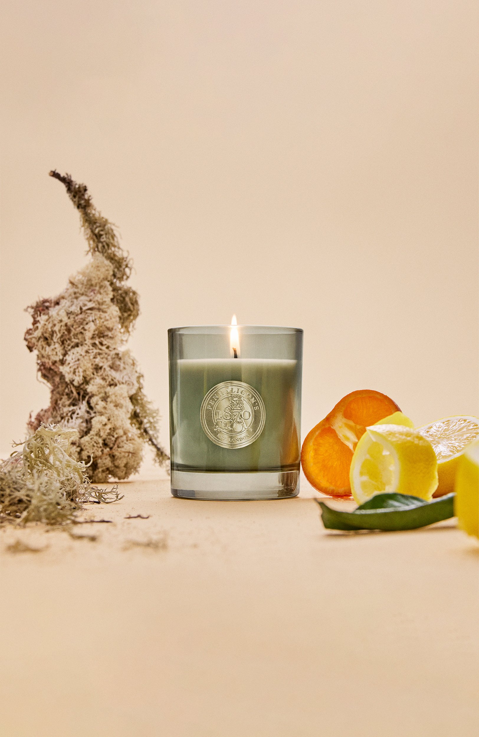 Свеча quercus (200g) PENHALIGON'S бесцветного цвета по цене 11200 руб., арт. 5056245050671, фото 3 Свеча quercus (200g) PENHALIGON'S, арт. 5056245050671, фото 3
