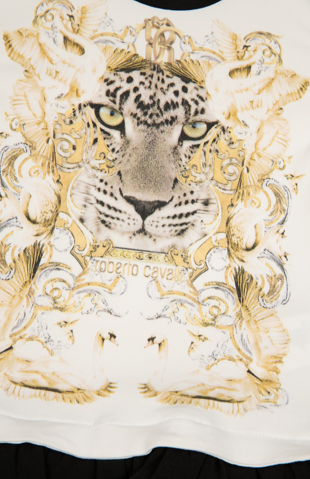 Платье а-силуэта с ярким принтом ROBERTO CAVALLI, арт. 7F1001/FA530/2-6, фото 3