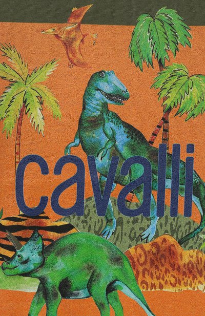 Хлопковая футболка ROBERTO CAVALLI, арт. QJT638/JV025/04A-10A, фото 3