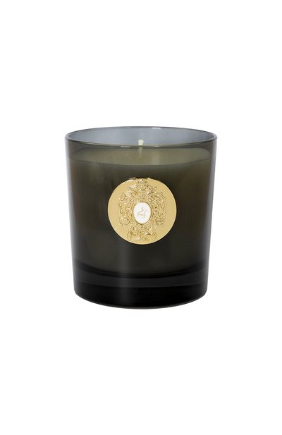 Свеча halley (250g) TIZIANA TERENZI, арт. 8016741262609