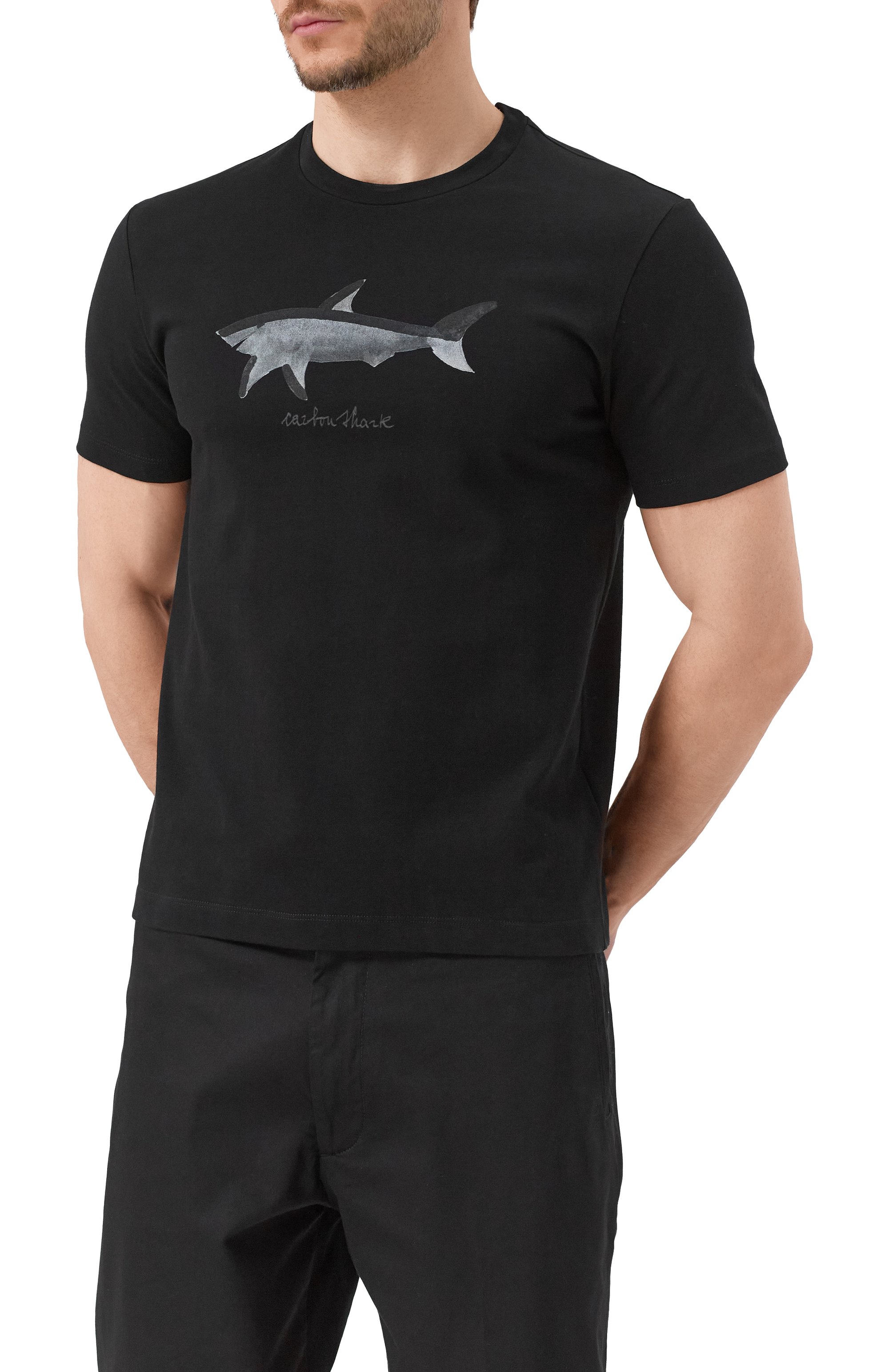 Хлопковая футболка PAUL&SHARK, арт. 25411071/M, фото 3